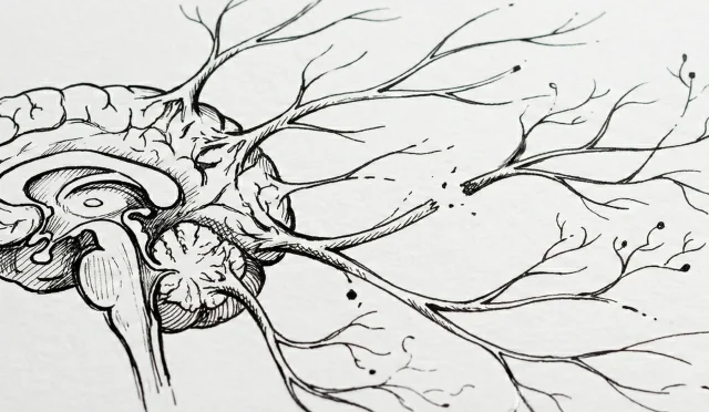 Yangından Sonra Kalan İzler: Menenjitin Yol Açabileceği Kalıcı Durumlar ve Komplikasyonlar